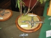 Modellbauexpertentag_2004_50